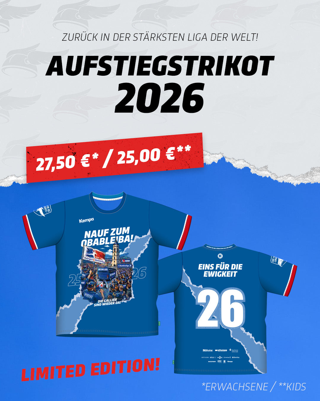 HBW Aufstieg in die 1. Liga - 2026